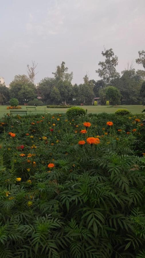 Maplewood Guest House, Neeti Bagh, New Delhiit Is A Boutiqu Guest House - Room 5 Εξωτερικό φωτογραφία
